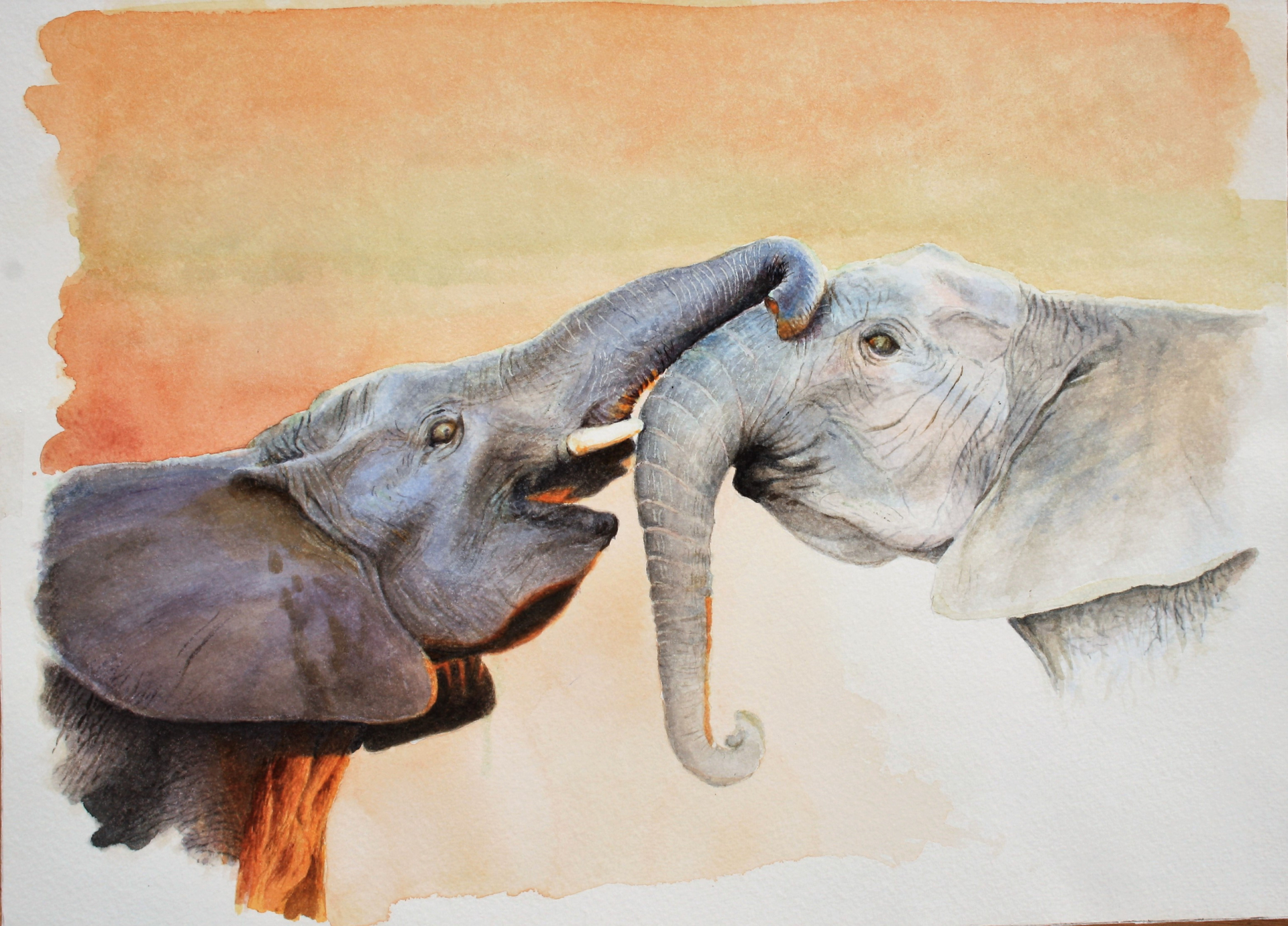 Les 2 éléphants