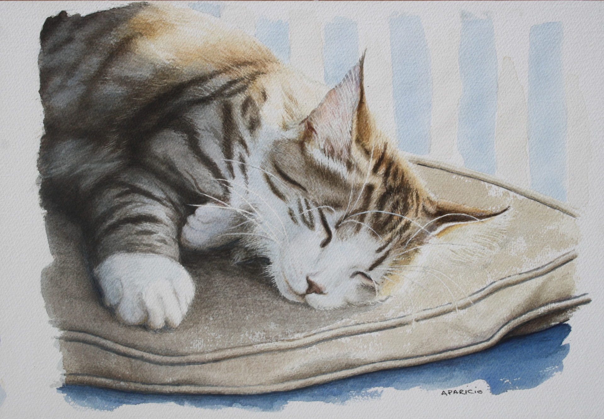 Chat endormi sur le coussin