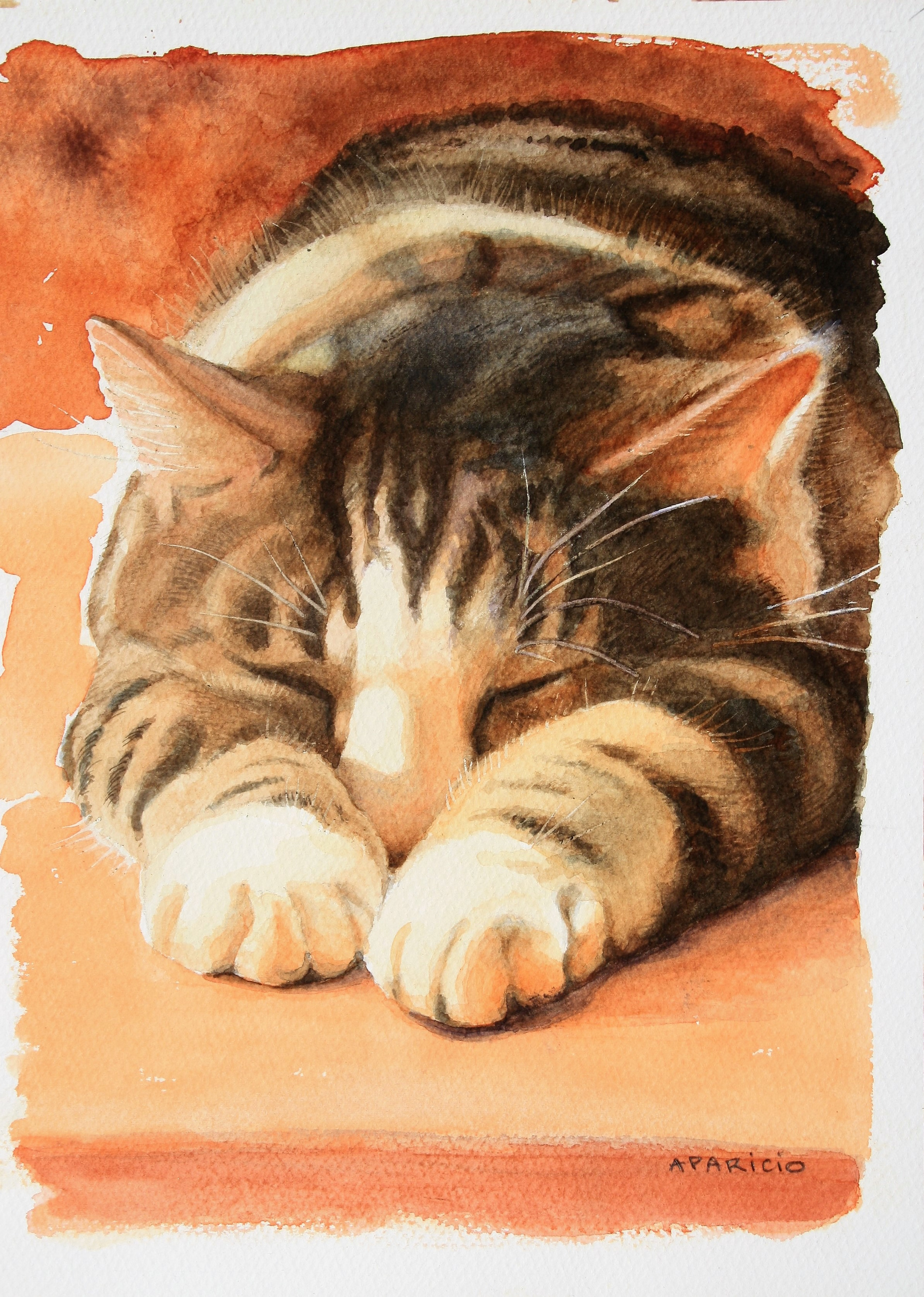 Le chat Mali