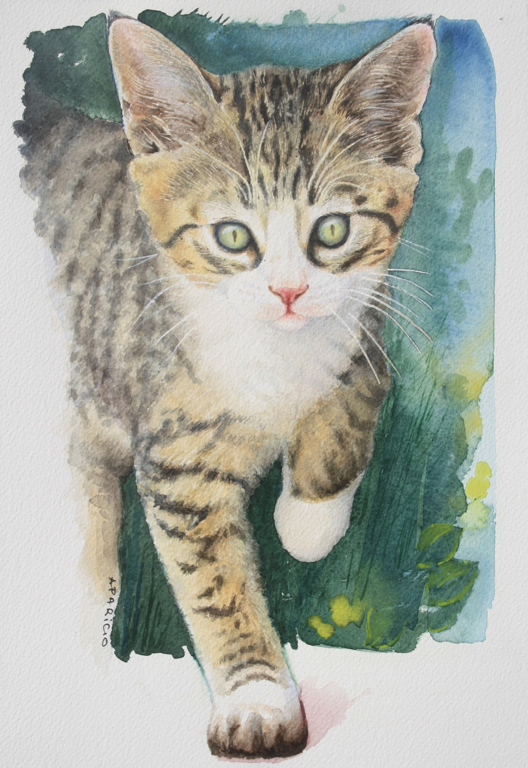 Chaton tigré