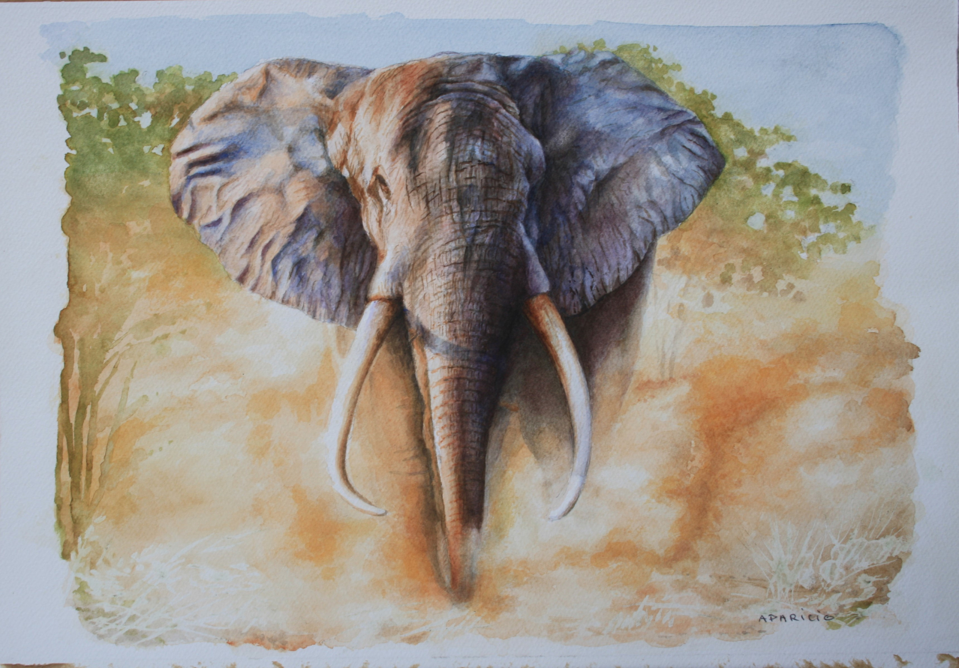 Eléphant