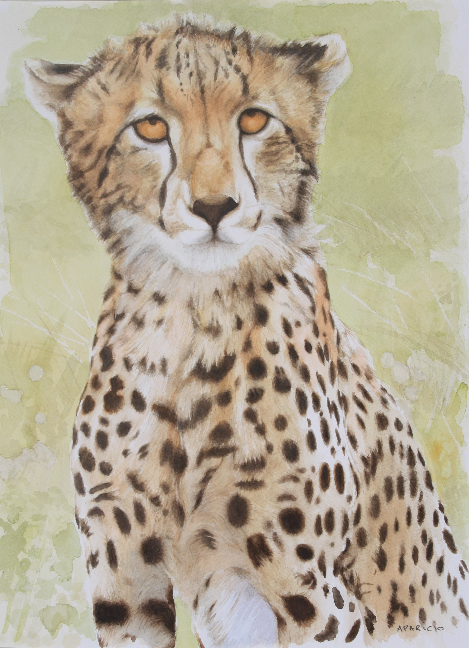 Guépard